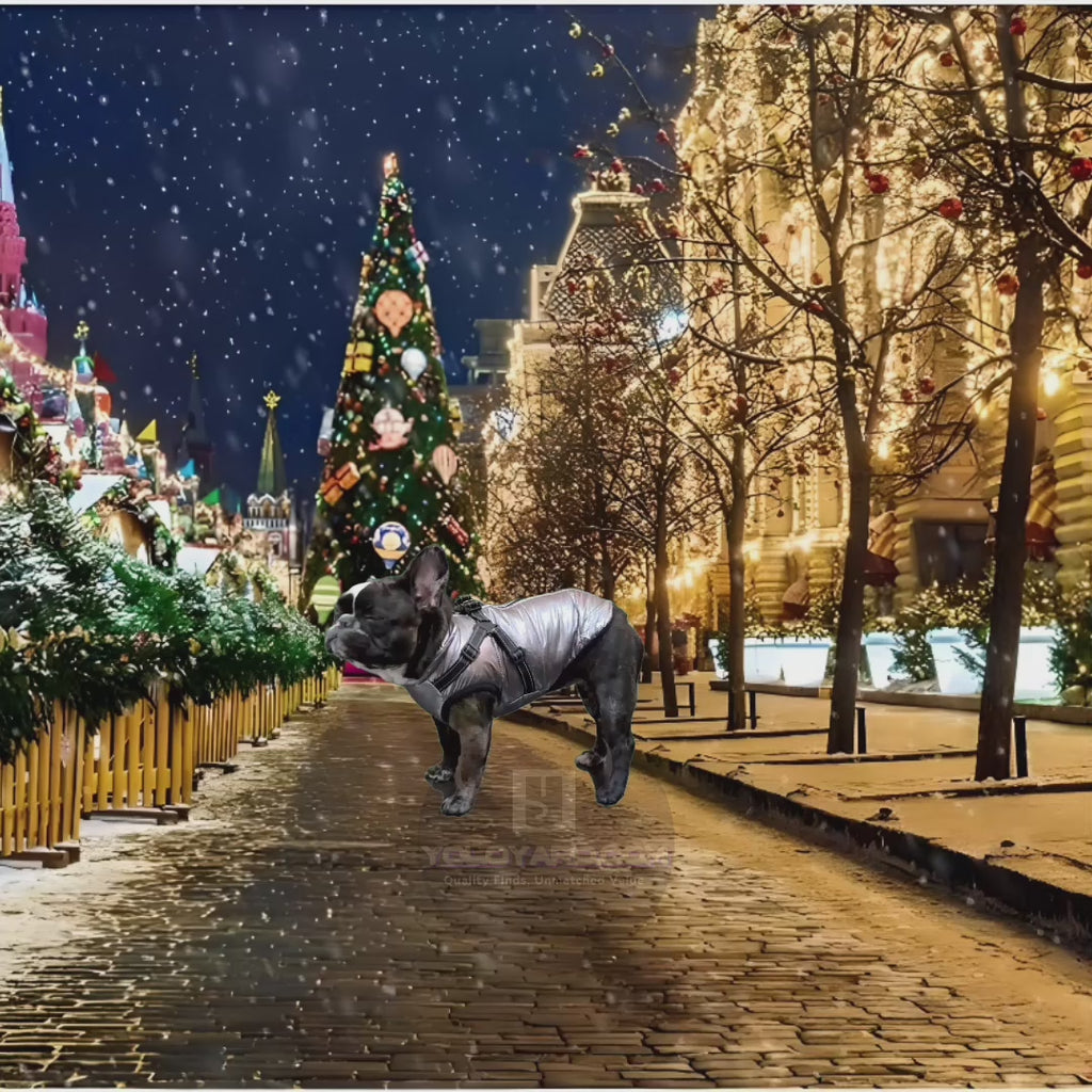 French bulldog wearing a silver FurryFashion Sports Jacket Harness in a festive winter cityscape with Christmas lights.